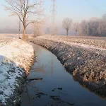 Le Risaie *