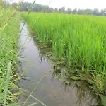 Bauernhof Le Risaie *