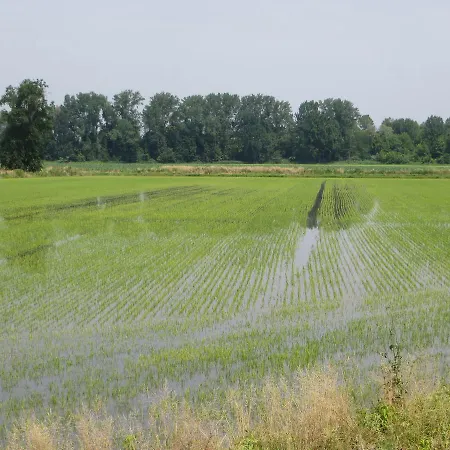 Le Risaie Farmház *