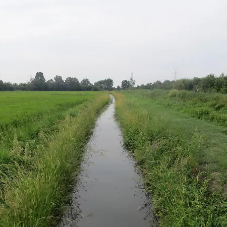Le Risaie *