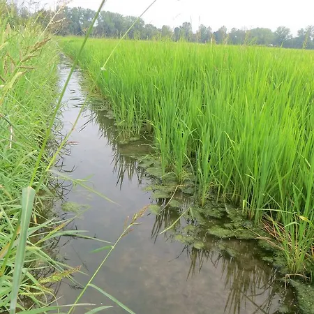 Alloggio per agriturismo Le Risaie *